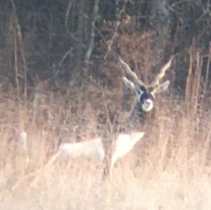 Meet your Posher, Brett